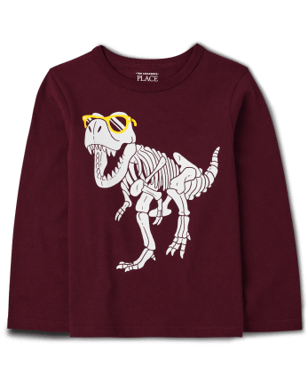 Baby And Toddler Boys Dino Graphic Tee
