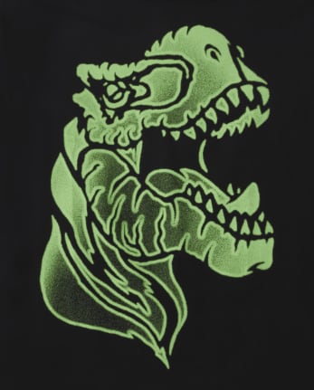 Boys Dino Graphic Tee