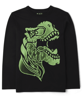 Boys Dino Graphic Tee