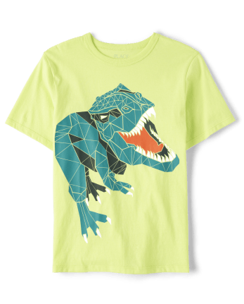 Boys Dinosaur Graphic Tee