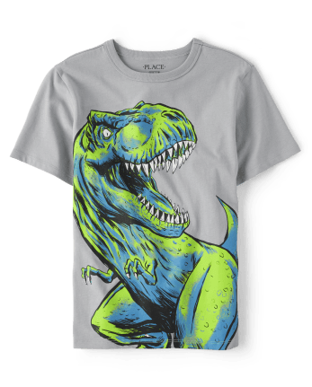 Boys Short Sleeve Dino Graphic Tee | The Children's Place - CHALK GRAY