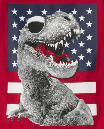 Boys Dino Flag Graphic Tank Top