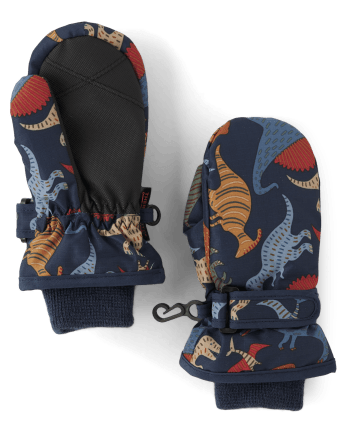 Toddler Boys Print Ski Mittens