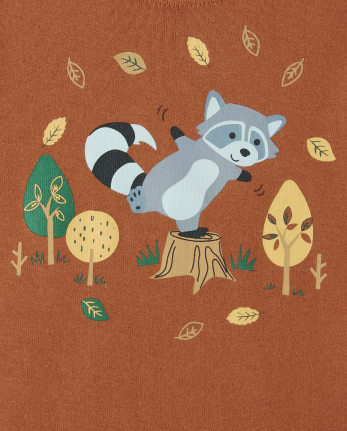 Baby And Toddler Boys Raccoon Snug Fit Cotton Pajamas