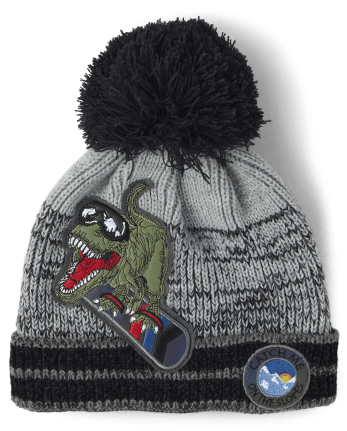 Boys Embroidered Dino Pom Pom Beanie