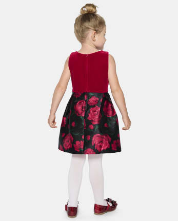 Toddler Girls  Floral Velour Fit And Flare Dress