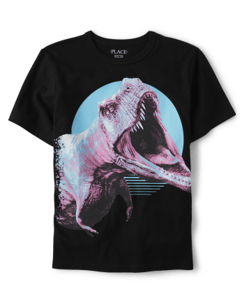 Boys dinosaur tshirt on sale