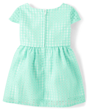 Baby And Toddler Girls Gingham Organza Fit And Flare Dress