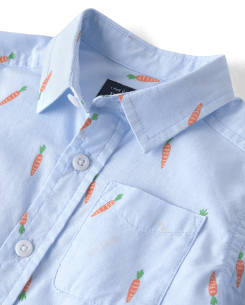 Baby And Toddler Boys Carrot Poplin Button Up Shirt