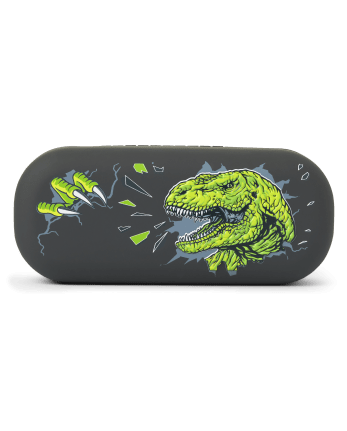 Boys Dino Sunglasses Case