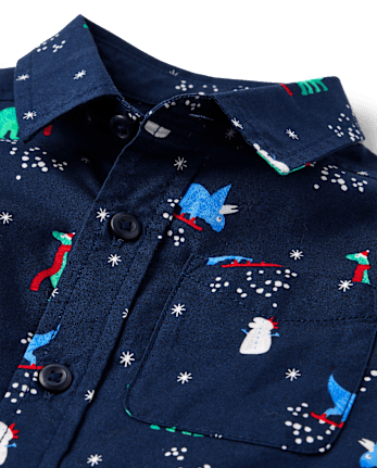 Baby And Toddler Boys Print Poplin Button Up Shirt