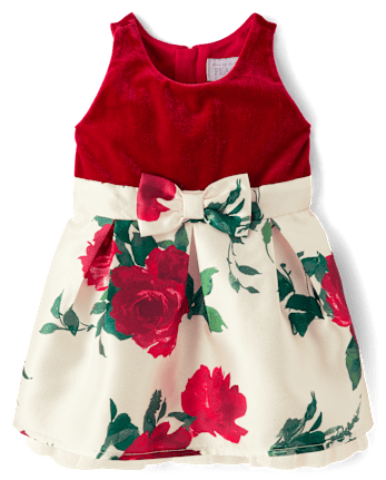 Baby And Toddler Girls Floral Velour Fit And Flare Dress