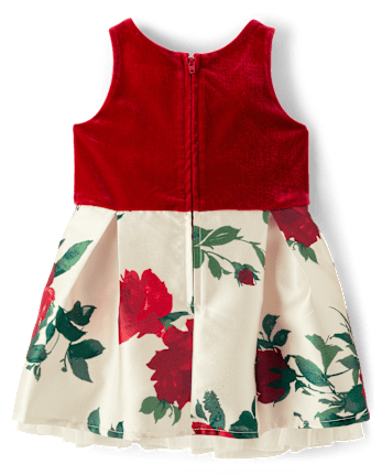 Baby And Toddler Girls Floral Velour Fit And Flare Dress
