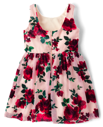 Girls Floral Velvet Fit And Flare Dress