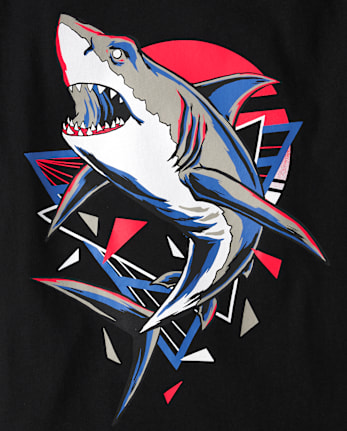 Lot de 2 t-shirts à imprimé dinosaure et requin pour garçon