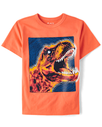 Boys Dino Graphic Tee