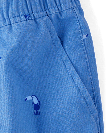 Boys Print Pull On Jogger Shorts