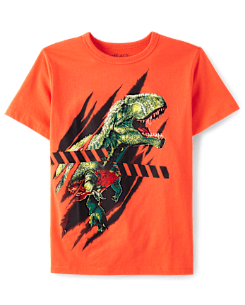 Boys Dino Graphic Tee