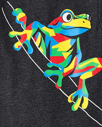 Baby And Toddler Boys Frog Graphic Tee