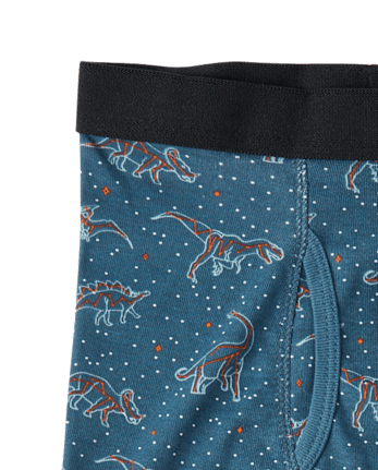 Boys Dino Boxer Brief Underwear 5-Pack