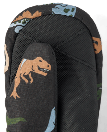 Toddler Boys Print Ski Mittens