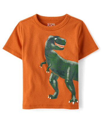 Baby And Toddler Boys Dino Graphic Tee