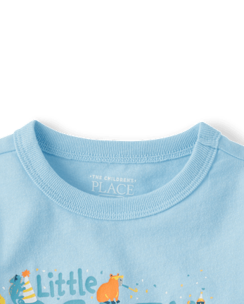 Baby And Toddler Boys Birthday Party Animal Graphic Tee