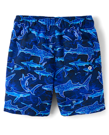 Boys Print Swim Trunks