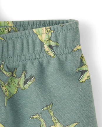 Baby And Toddler Boys Dino 2-Piece Outfit Set