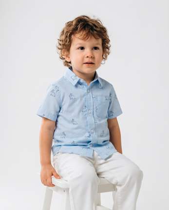 Baby And Toddler Boys Dad And Me Bunny Poplin Button Up Shirt