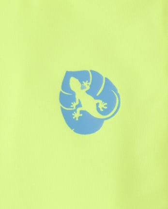 Baby And Toddler Boys Print Rashguard Swim Set