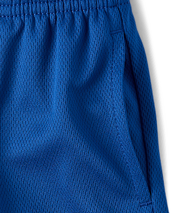 Baby And Toddler Boys Quick Dry Striped Mesh Lined Active Shorts