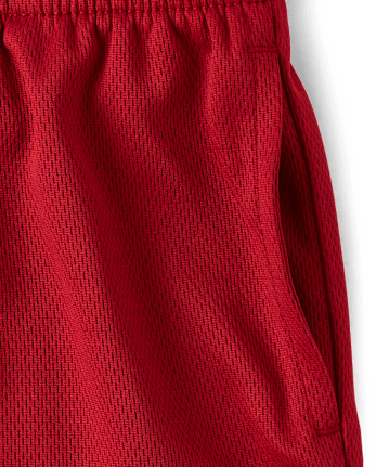 Baby And Toddler Boys Quick Dry Striped Mesh Lined Active Shorts