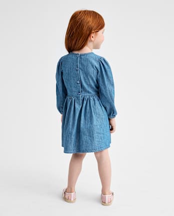 Baby And Toddler Girls Embroidered Floral Chambray Fit And Flare Dress