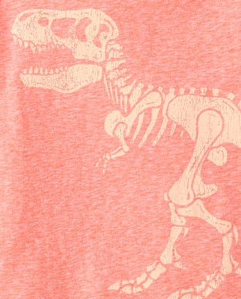 Baby And Toddler Boys Marled Dino Graphic Tee