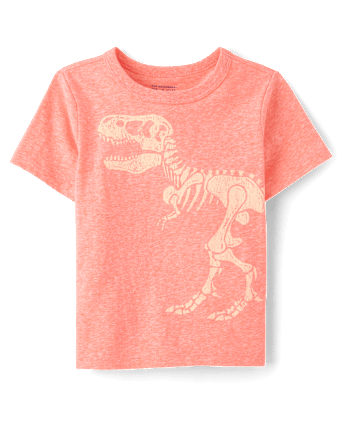 Baby And Toddler Boys Marled Dino Graphic Tee