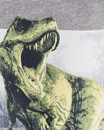 Boys Dino Graphic Tee