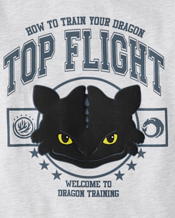 Boys Toothless™ Top Flight Graphic Tee