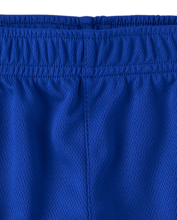 Baby And Toddler Boys Quick Dry Striped Lined Mesh Active Shorts