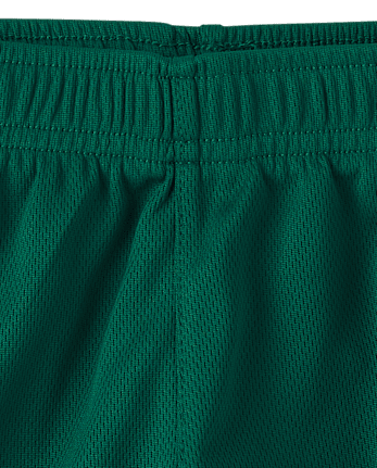 Baby And Toddler Boys Quick Dry Striped Lined Mesh Active Shorts