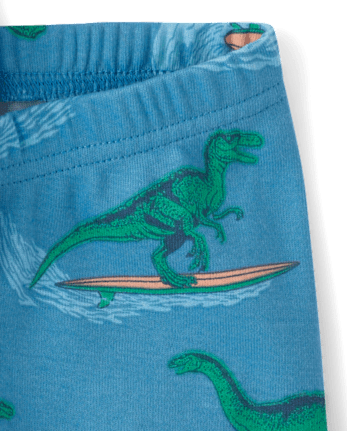 Baby And Toddler Boys Surfing Dino Snug Fit Cotton Pajamas