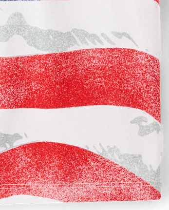 Baby And Toddler Boys American Flag Graphic Tee