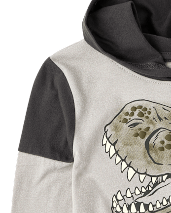 Baby And Toddler Boys Graphic Hooded Top