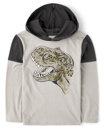 Baby And Toddler Boys Graphic Hooded Top