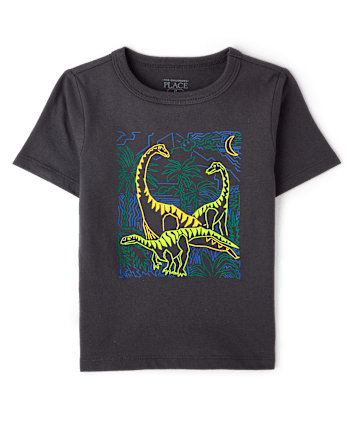 Baby And Toddler Boys Dino Graphic Tee