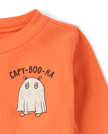 Baby And Toddler Halloween Capybara Snug Fit Cotton Pajamas