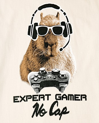 Boys Capybara Gamer Graphic Tee - HAY STACK