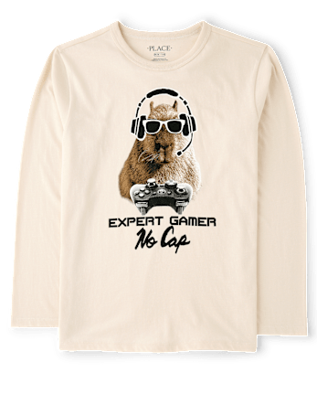 Boys Capybara Gamer Graphic Tee - HAY STACK