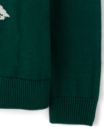 Boys Intarsia Polar Bear Sweater - BALT GREEN