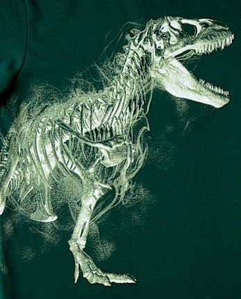 Boys Dino Skeleton Graphic Tee - BALT GREEN